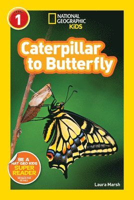 Laura Marsh, National Geographic Kids - Caterpillar to Butterfly (National Geographic Kids Explore! Readers, Level 1), Häftad