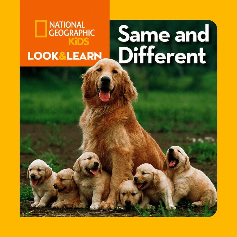 Look and Learn: Same and Different