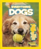 Everything Dogs 1