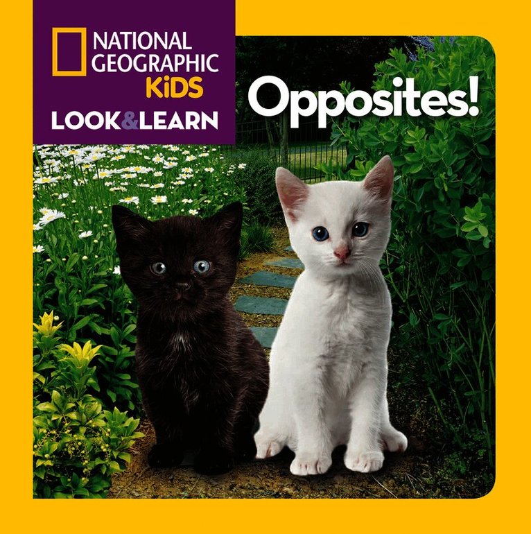 Look and Learn: Opposites!