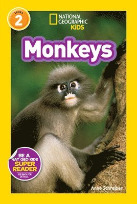 bokomslag Monkeys (National Geographic Kids Readers, Level 2)