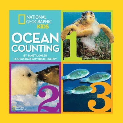 Ocean Counting 1