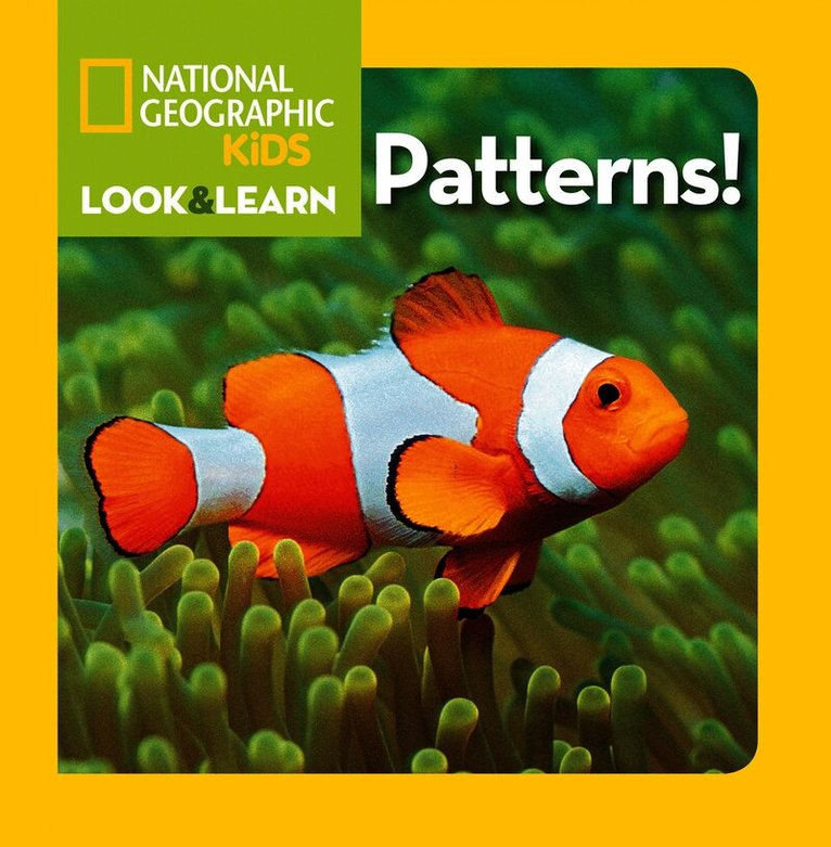Look and Learn: Patterns