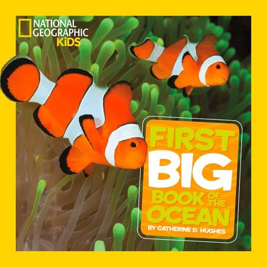 Catherine D. Hughes, National Geographic Kids - Little Kids First Big Book of The Ocean, Inbunden