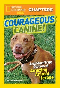 bokomslag National Geographic Kids Chapters: Courageous Canine