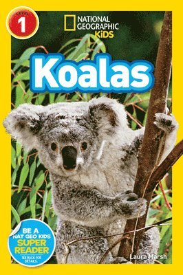 Laura Marsh, National Geographic Kids - National Geographic Kids Readers: Koalas, Häftad
