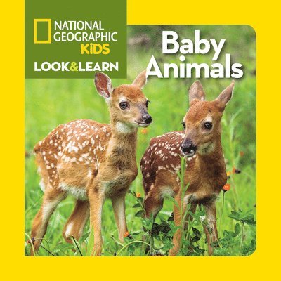 Look and Learn: Baby Animals