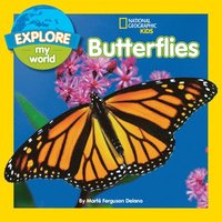 bokomslag Explore My World Butterflies