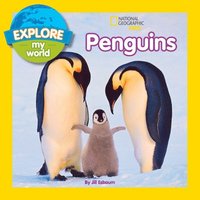 bokomslag Explore My World Penguins