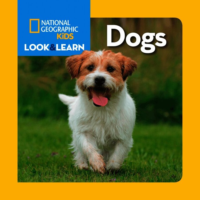 Look and Learn: Dogs