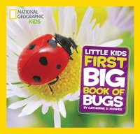 bokomslag Little Kids First Big Book of Bugs