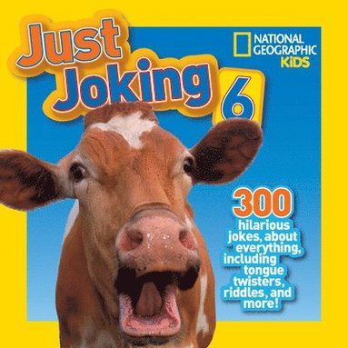 bokomslag Just Joking 6