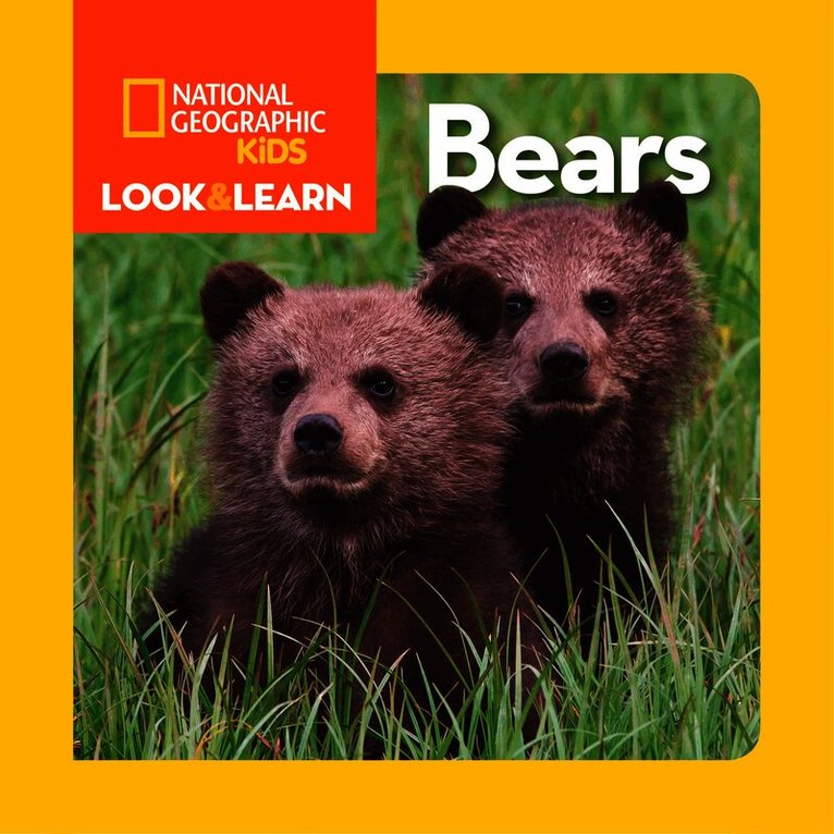 Look and Learn: Bears