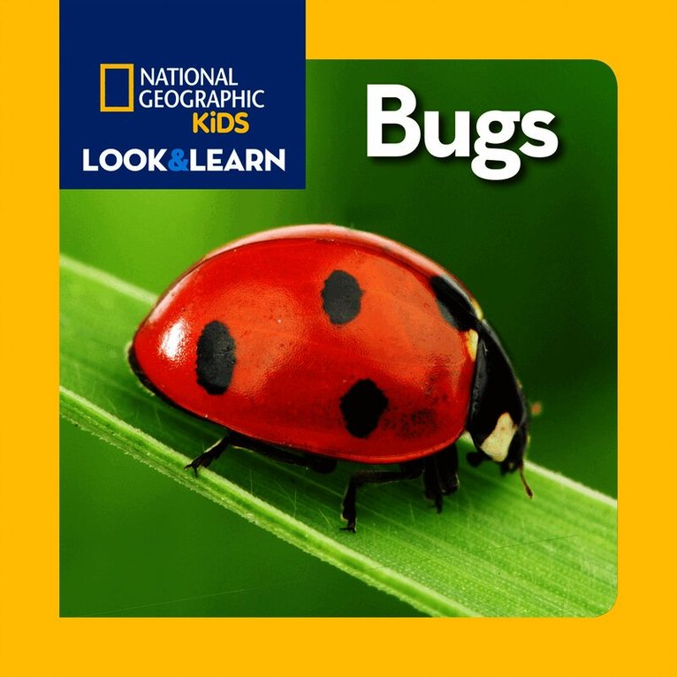 Look and Learn: Bugs