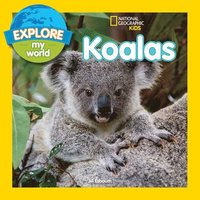 bokomslag Explore My World Koalas
