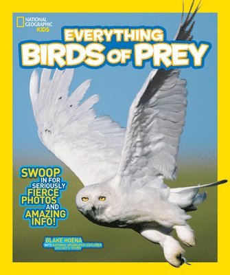 Everything Birds of Prey 1