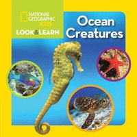 bokomslag National Geographic Kids Look and Learn: Ocean Creatures