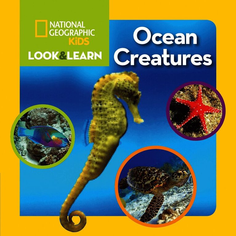 National Geographic Kids - Look and Learn: Ocean Creatures, Kartonnage