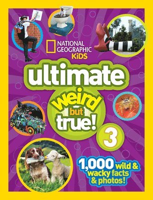 bokomslag Ultimate Weird but True! 3