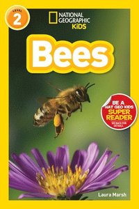bokomslag Bees (National Geographic Kids Readers, Level 2)
