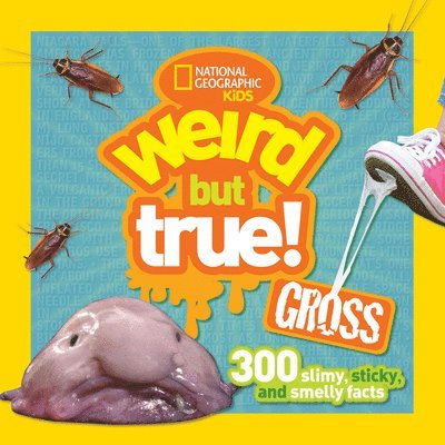 National Geographic Kids - Weird But True! Gross, Häftad