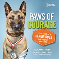 bokomslag Paws of Courage