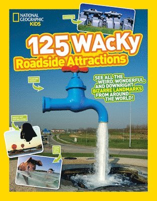 bokomslag 125 Wacky Roadside Attractions