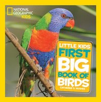 bokomslag Little Kids First Big Book of Birds
