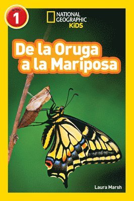 bokomslag National Geographic Readers: de la Oruga a la Mariposa (Caterpillar to Butterfly)