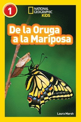 bokomslag National Geographic Readers: De La Oruga A La Mariposa (Caterpillar To Butterfly)