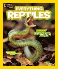 bokomslag Everything Reptiles