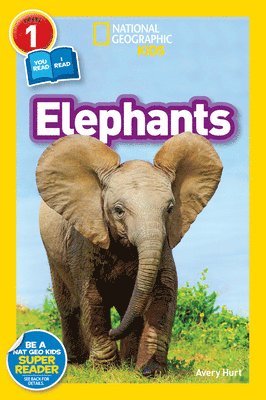 Avery Hurt, National Geographic Kids - National Geographic Kids Readers: Elephants, Häftad
