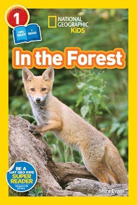 bokomslag In the Forest (National Geographic Kids Readers, Level 1/Co-Reader)