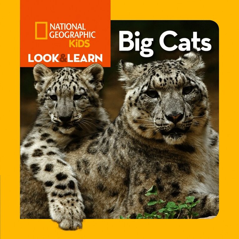 Look and Learn: Big Cats
