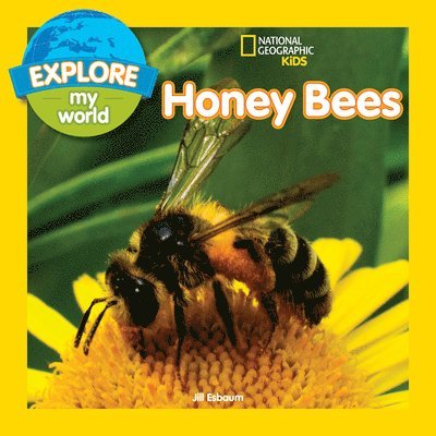 Explore My World: Honey Bees 1