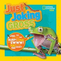 bokomslag Just Joking Gross