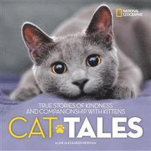 bokomslag Cat Tales