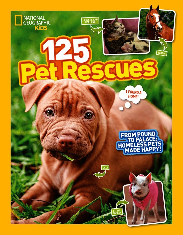 125 Pet Rescues