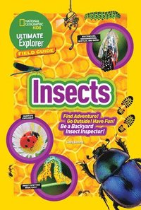 bokomslag Ultimate Explorer Field Guide: Insects