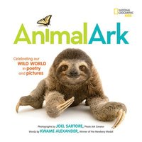 bokomslag Animal Ark
