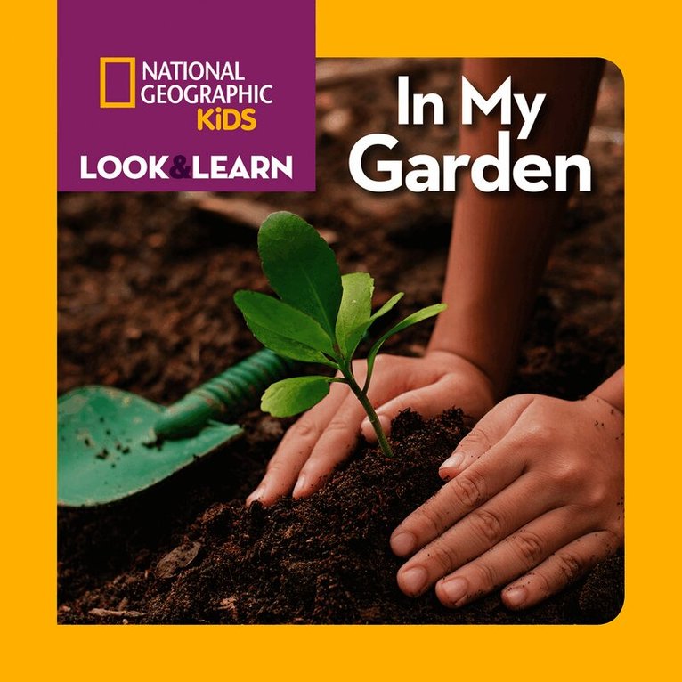 Look and Learn: In My Garden