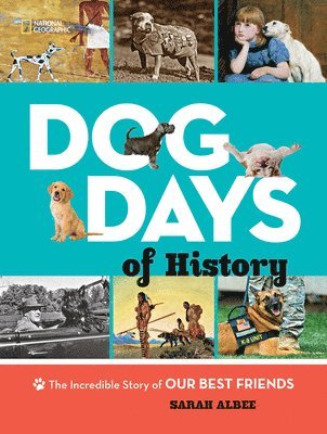 bokomslag Dog Days of History