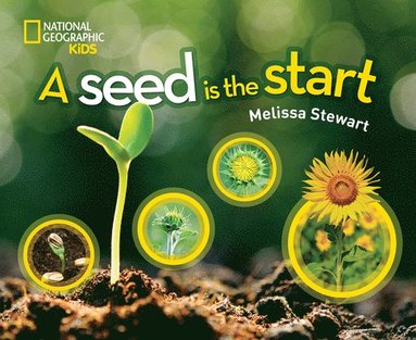 Melissa Stewart, National Geographic Kids - A Seed is the Start, Inbunden