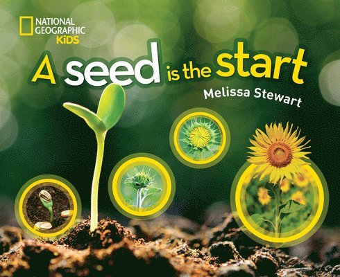 A Seed is the Start 1