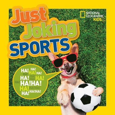 bokomslag Just Joking Sports