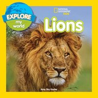 bokomslag Explore My World: Lions