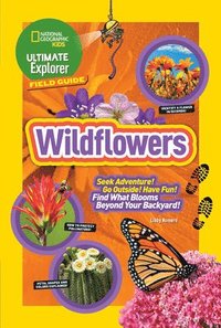 bokomslag Ultimate Explorer Field Guide: Wildflowers