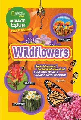 bokomslag Ultimate Explorer Field Guide: Wildflowers