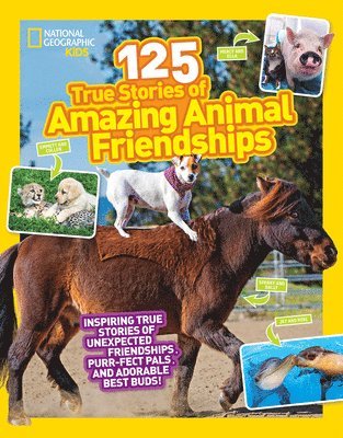 bokomslag 125 Animal Friendships
