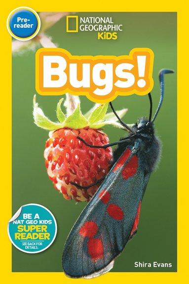 bokomslag National Geographic Kids Readers: Bugs